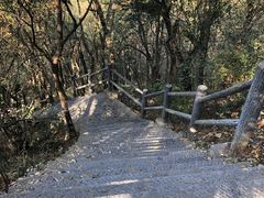 -紫金山山顶公园