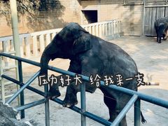 -深圳野生动物园
