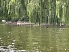 -南翠屏公园