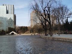-团结湖公园