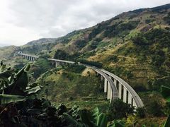-云南屏边大围山国家公园