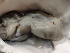 -麦秋寿司(富都广场店)