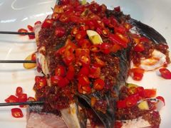 -坛宗剁椒鱼头(河西王府井店)