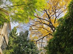 -石屏会馆