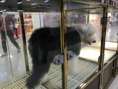 -乐宠宠物店(世纪金源店)