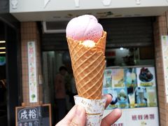 -成裕雪糕店(士多店)
