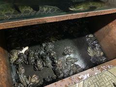 -大理.老字号渝记酸萝卜乌鱼(古城总店)