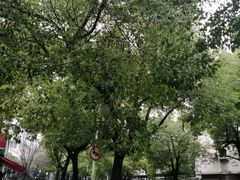 -汪保来(杭州解放路店)