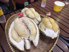 -榴莲BB 四季果园