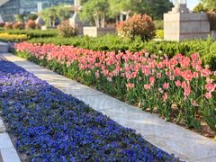 -石家庄市植物园
