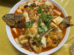 -煲来饱去冷水鱼