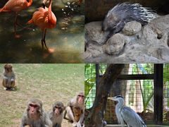 -海南热带野生动植物园