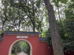 -灵谷景区