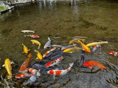 -水前寺成趣园