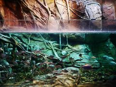 -波塞冬旅游度假区