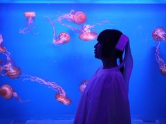 -暹罗海洋世界