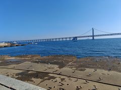 -星海广场