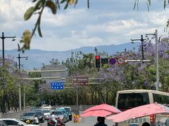 -南坛综合农贸市场