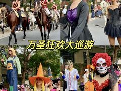 -灵玲国际马戏城