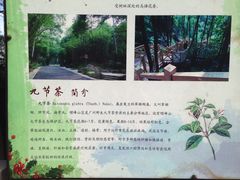 -广州市帽峰山景区