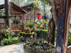 -青城甲(青城山店)