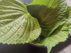 -四斤烤肉(东戴河孟家店)