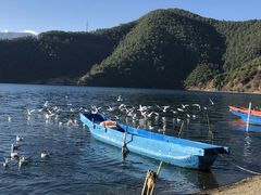 -泸沽湖里格半岛