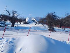 -太子岭滑雪场