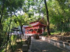 -灵岩山风景区