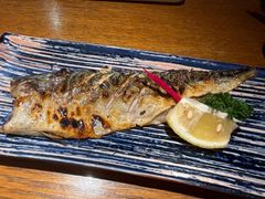 -鸟屯(三里屯店)