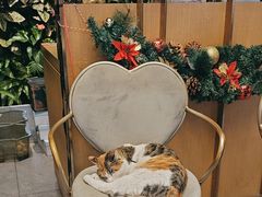 -后海16号·北京私房菜