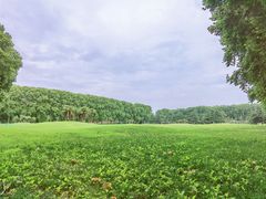 -河南省黄河迎宾馆