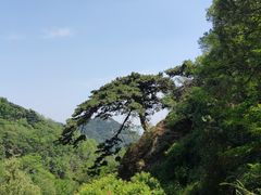 -泰山风景名胜区