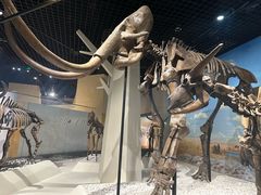 -国家自然博物馆