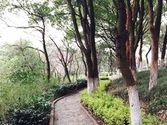 华东疗养院-上海市保健医疗中心(华东疗养院)