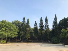 -番禺大夫山森林公园