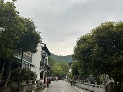 -龙井村