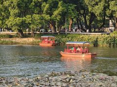-荔湾湖公园