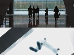 -深圳湾万象城(南山店)