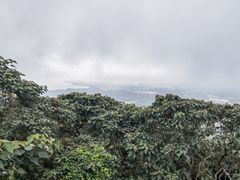 -海南铜鼓岭景区