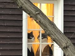 -三鹰之森吉卜力美术馆