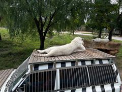 -上海野生动物园