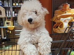 -MARSMART PETS火星宠物超市(1733店)