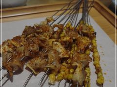 -万鑫鸡翅