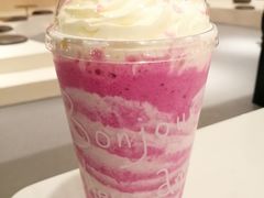 -飞行喵MR PILOT|猫舍·猫咖(静安大融城店)