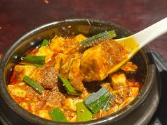 -陈麻婆豆腐总店