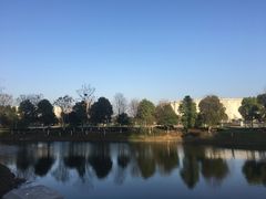 -荆州体育中心-游泳馆