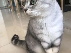 -平行世界·猫咖(首经贸店)