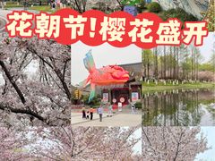 -武汉园博园(武汉自然博物馆)