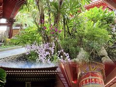 -新加坡佛牙寺龙华院
